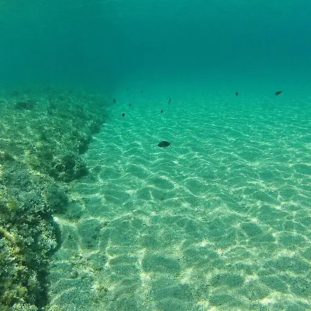 Szálloda Kopsis Pefkohóri