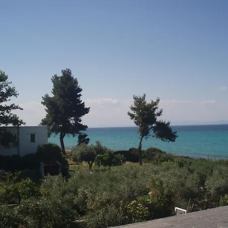 Kopsis * 페프코초리